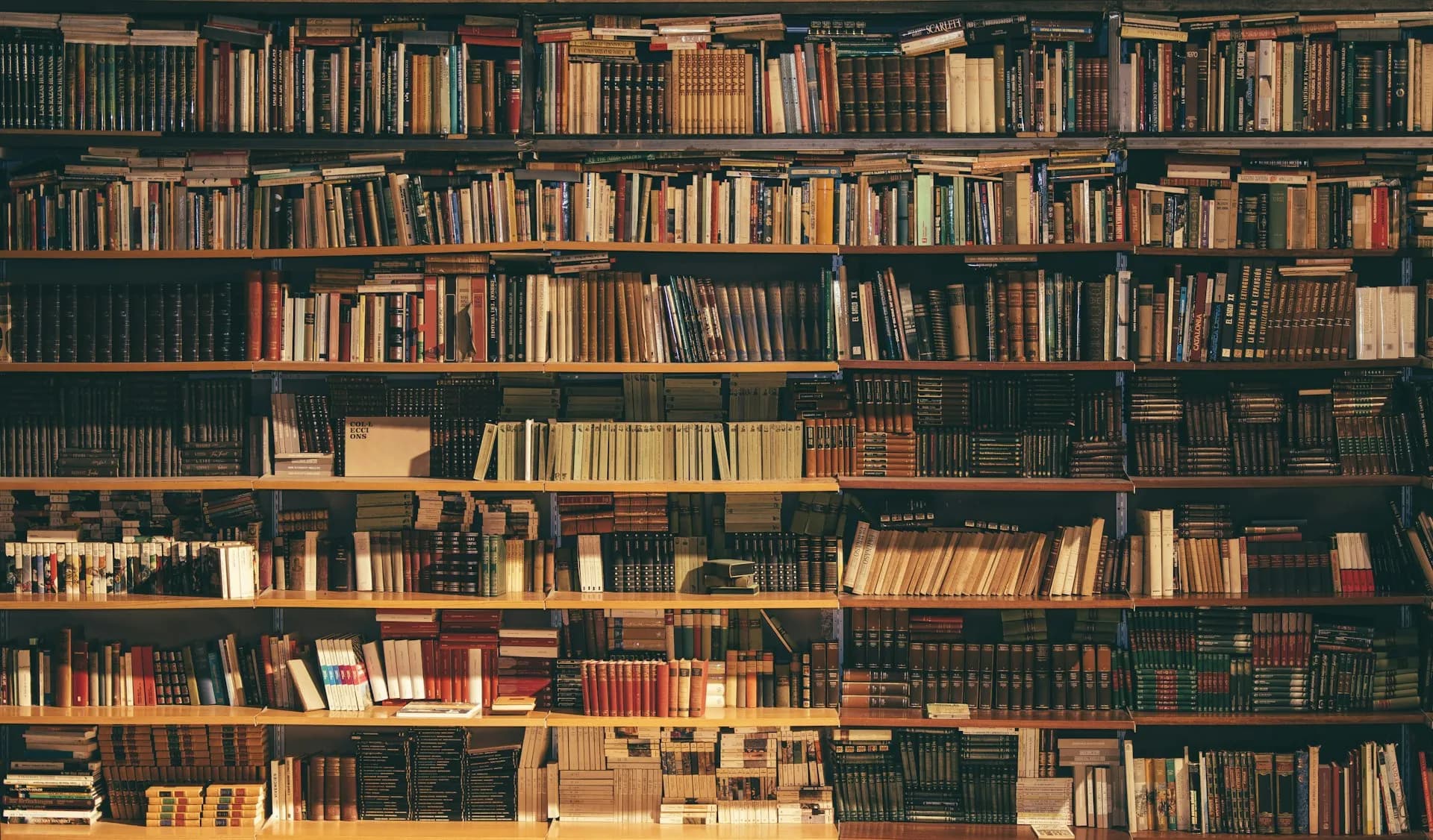 図書館・知識インフラ研究室